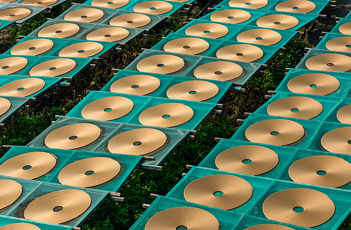 ???? ??? ??? ???????? ??????? ?????