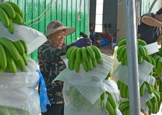 ???? ????? ?? ??????? ???? ???? ???????