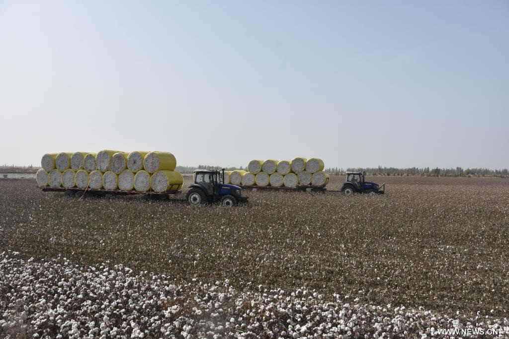 ???? ????? ?? ????? ???????? ????????? ????? ???? ?????