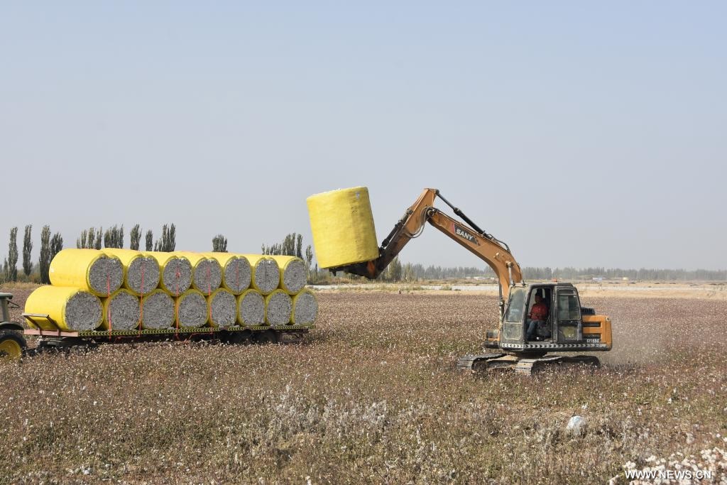 ???? ????? ?? ????? ???????? ????????? ????? ???? ?????