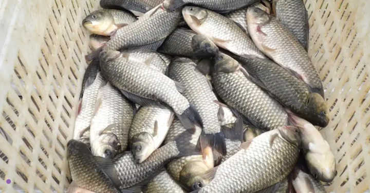 ?????? ??????? ????? ???? ??? ????? ???? ???? ??? ??? ???????? ???? ???? ???? ?????? 12 ????