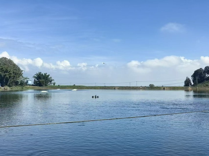 ?????? ??????? ????? ???? ??? ????? ???? ???? ??? ??? ???????? ???? ???? ???? ?????? 12 ????