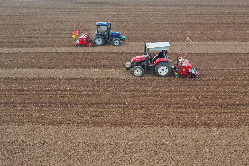 ??????: ????? ????? ?????? ?? ????? ?????