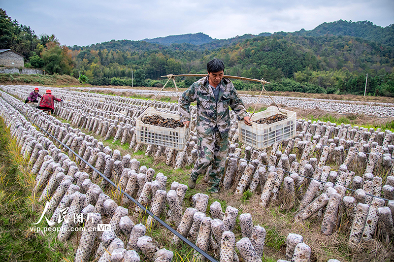 ??????? ???????: ???? ????? ??????