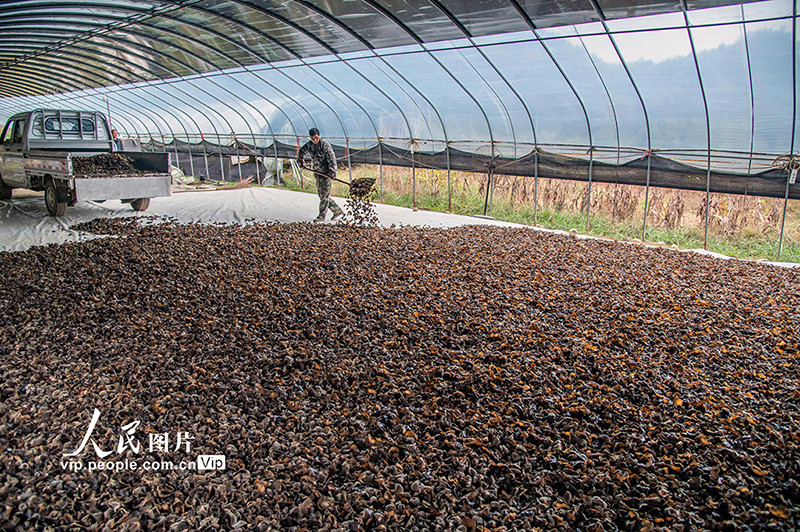 ??????? ???????: ???? ????? ??????