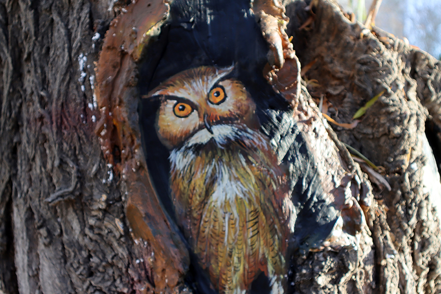 ????? ????????: ??????? ????? 