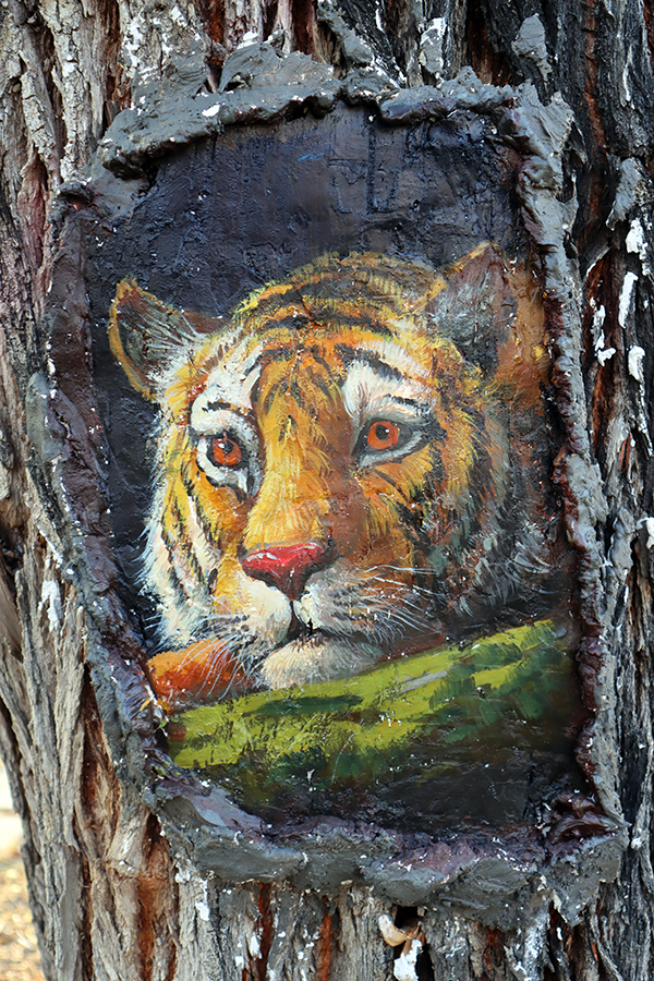 ????? ????????: ??????? ????? 