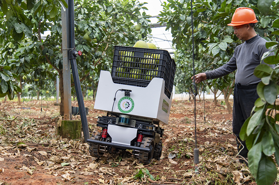 ??????? ???????: ??????? ??????? ??????? ?????? ?????? ????? ???????? ??????