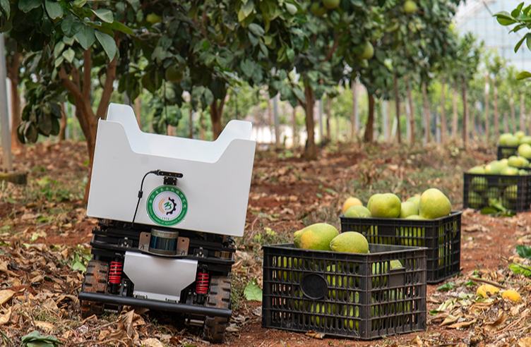 ??????? ???????: ??????? ??????? ??????? ?????? ?????? ????? ???????? ??????