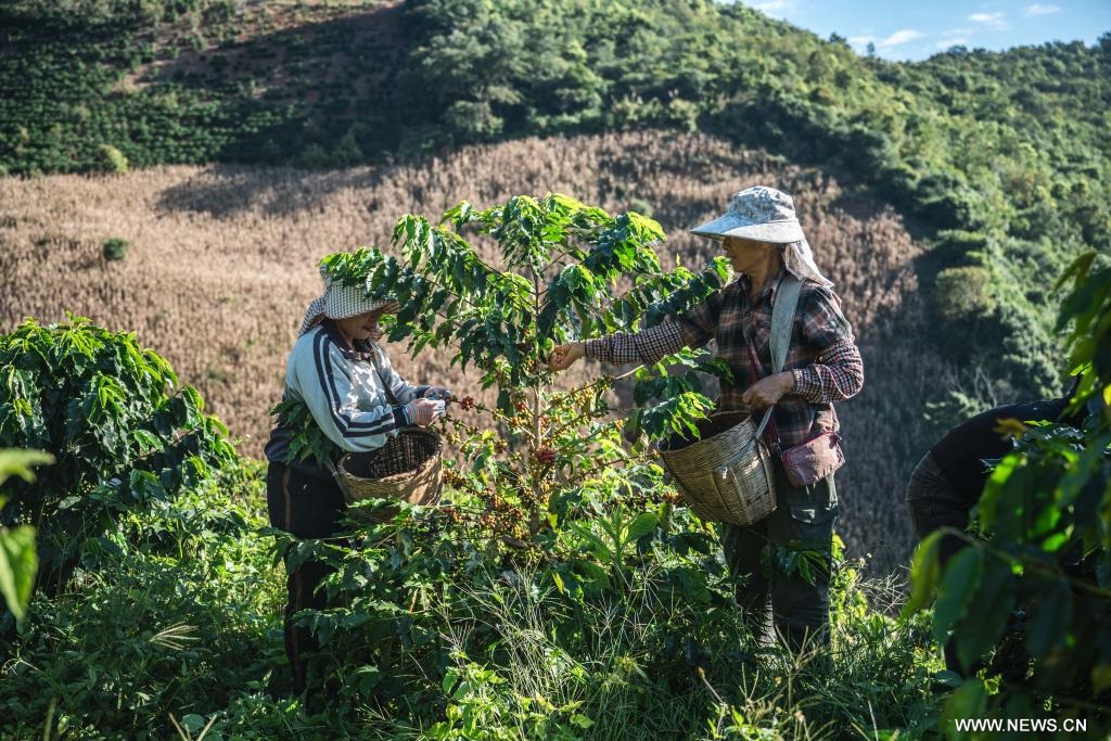 ???? ???? ???? ?? ???? ???? ?????