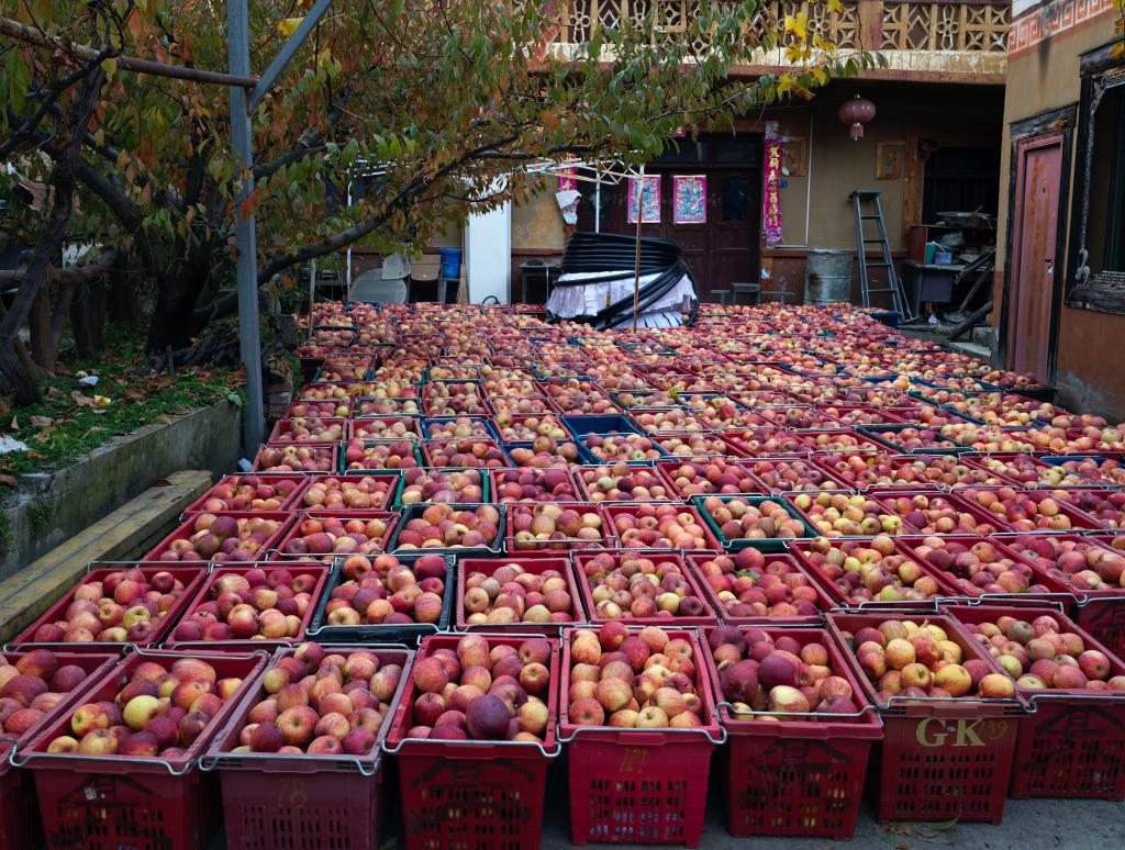 ??????: ????? ?????? ????? ??? ????? ???? ????????? ?? ???? ???? ?????