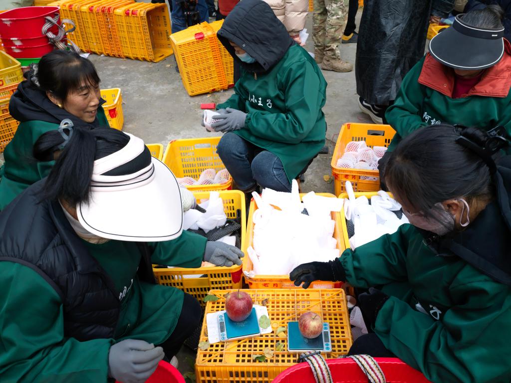 ??????: ????? ?????? ????? ??? ????? ???? ????????? ?? ???? ???? ?????