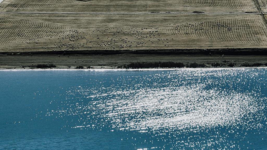 ???? ?? ??????? ??? ???? ????? ???????? ????? ???? ?????