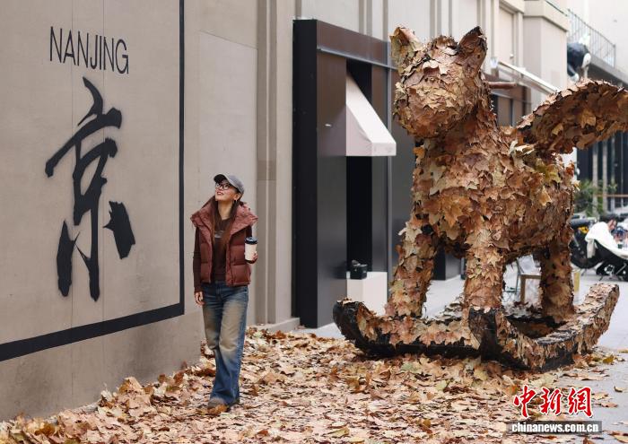 ????? ??? ?????? ????????? ?? ????? ??????? ???? ?????? ????? ?????????