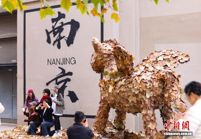 ????? ??? ?????? ????????? ?? ????? ??????? ???? ?????? ????? ?????????