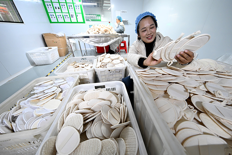 ?????? ???? ????? ???? ????? ???? ?? ???????