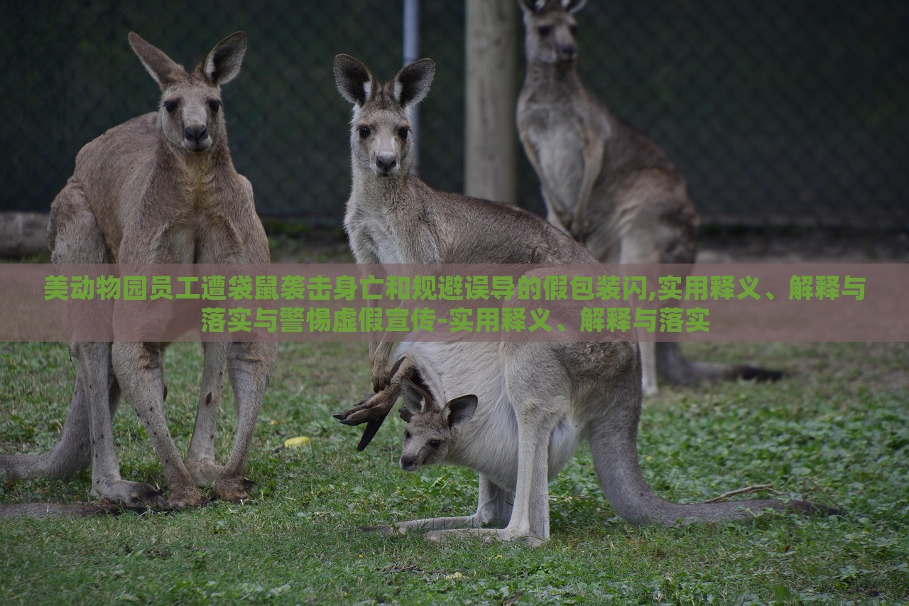 美動(dòng)物園員工遭袋鼠襲擊身亡和規(guī)避誤導(dǎo)的假包裝閃,實(shí)用釋義、解釋與落實(shí)與警惕虛假宣傳-實(shí)用釋義、解釋與落實(shí)