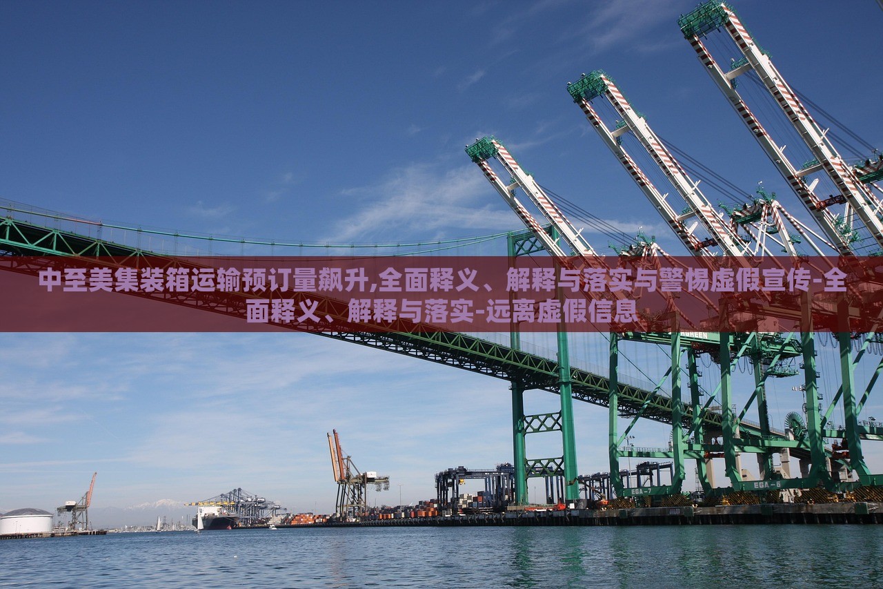 中至美集裝箱運(yùn)輸預(yù)訂量飆升,全面釋義、解釋與落實(shí)與警惕虛假宣傳-全面釋義、解釋與落實(shí)-遠(yuǎn)離虛假信息