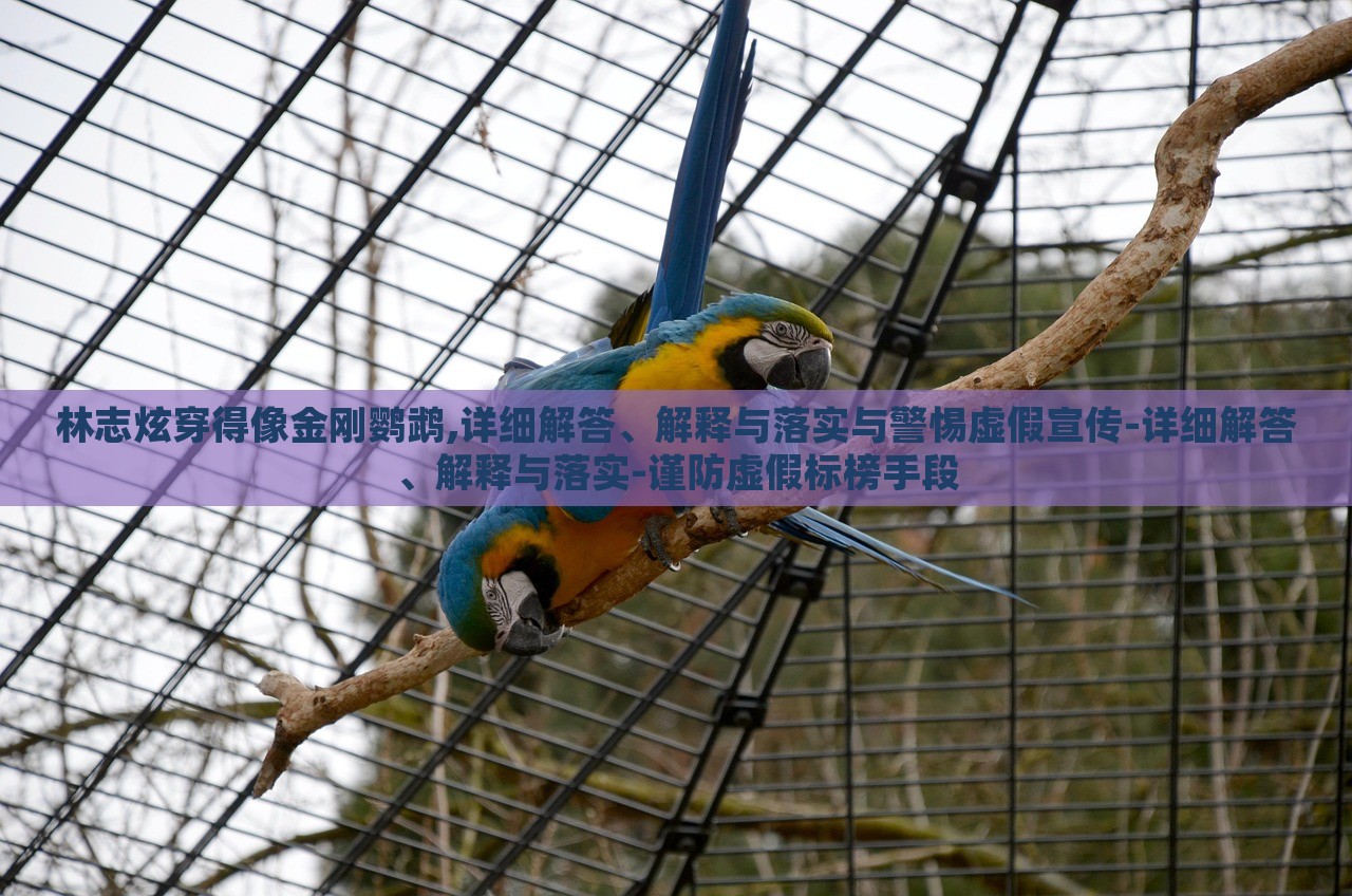 林志炫穿得像金剛鸚鵡,詳細(xì)解答、解釋與落實與警惕虛假宣傳-詳細(xì)解答、解釋與落實-謹(jǐn)防虛假標(biāo)榜手段
