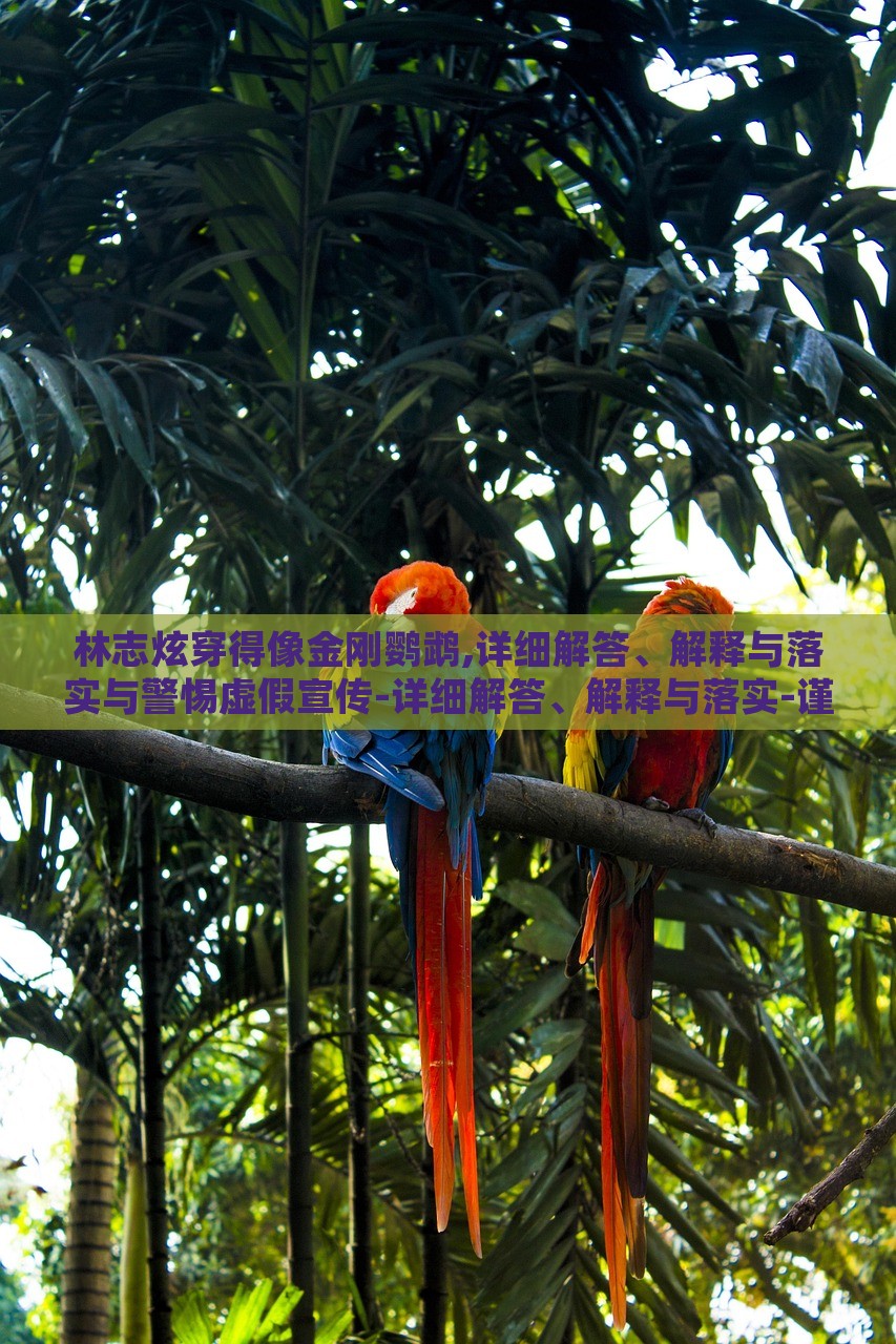 林志炫穿得像金剛鸚鵡,詳細(xì)解答、解釋與落實與警惕虛假宣傳-詳細(xì)解答、解釋與落實-謹(jǐn)防虛假標(biāo)榜手段