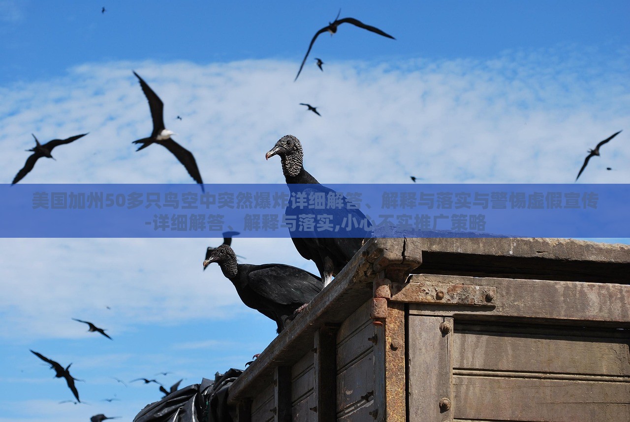 美國加州50多只鳥空中突然爆炸詳細解答、解釋與落實與警惕虛假宣傳-詳細解答、解釋與落實,小心不實推廣策略