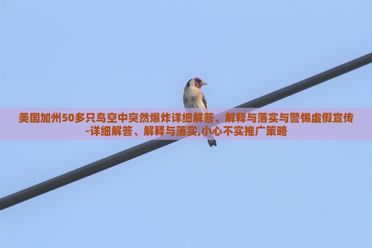 美國加州50多只鳥空中突然爆炸詳細解答、解釋與落實與警惕虛假宣傳-詳細解答、解釋與落實,小心不實推廣策略