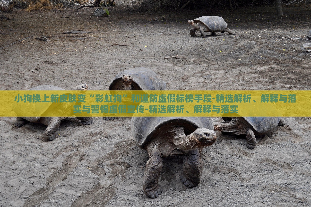 小狗換上新皮膚變“彩虹狗”和謹(jǐn)防虛假標(biāo)榜手段-精選解析、解釋與落實(shí)與警惕虛假宣傳-精選解析、解釋與落實(shí)
