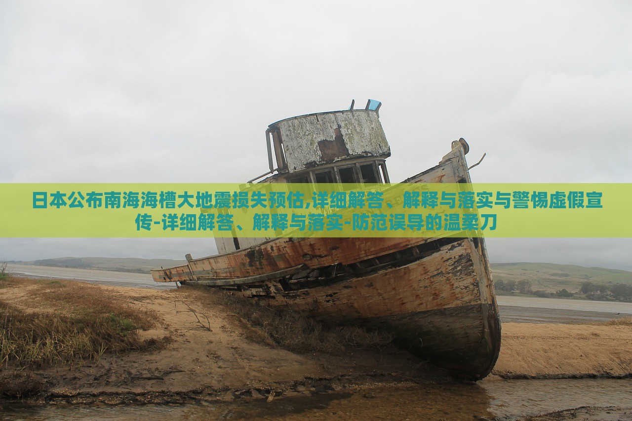日本公布南海海槽大地震損失預(yù)估,詳細解答、解釋與落實與警惕虛假宣傳-詳細解答、解釋與落實-防范誤導(dǎo)的溫柔刀