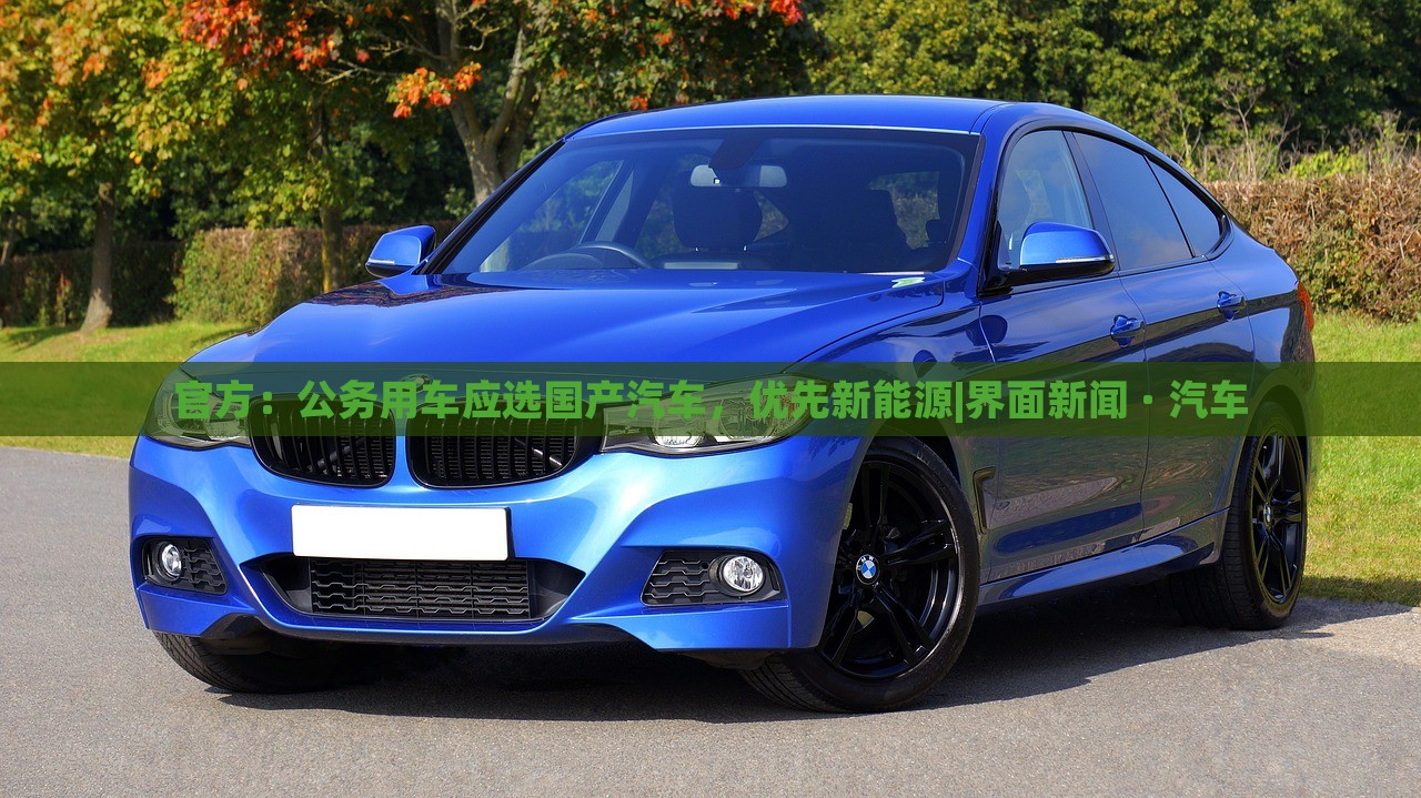 官方：公務(wù)用車應(yīng)選國(guó)產(chǎn)汽車，優(yōu)先新能源|界面新聞 · 汽車