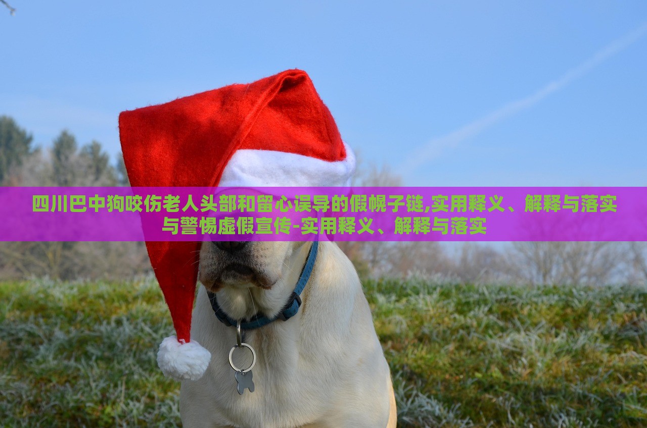 四川巴中狗咬傷老人頭部和留心誤導(dǎo)的假幌子鏈,實(shí)用釋義、解釋與落實(shí)與警惕虛假宣傳-實(shí)用釋義、解釋與落實(shí)