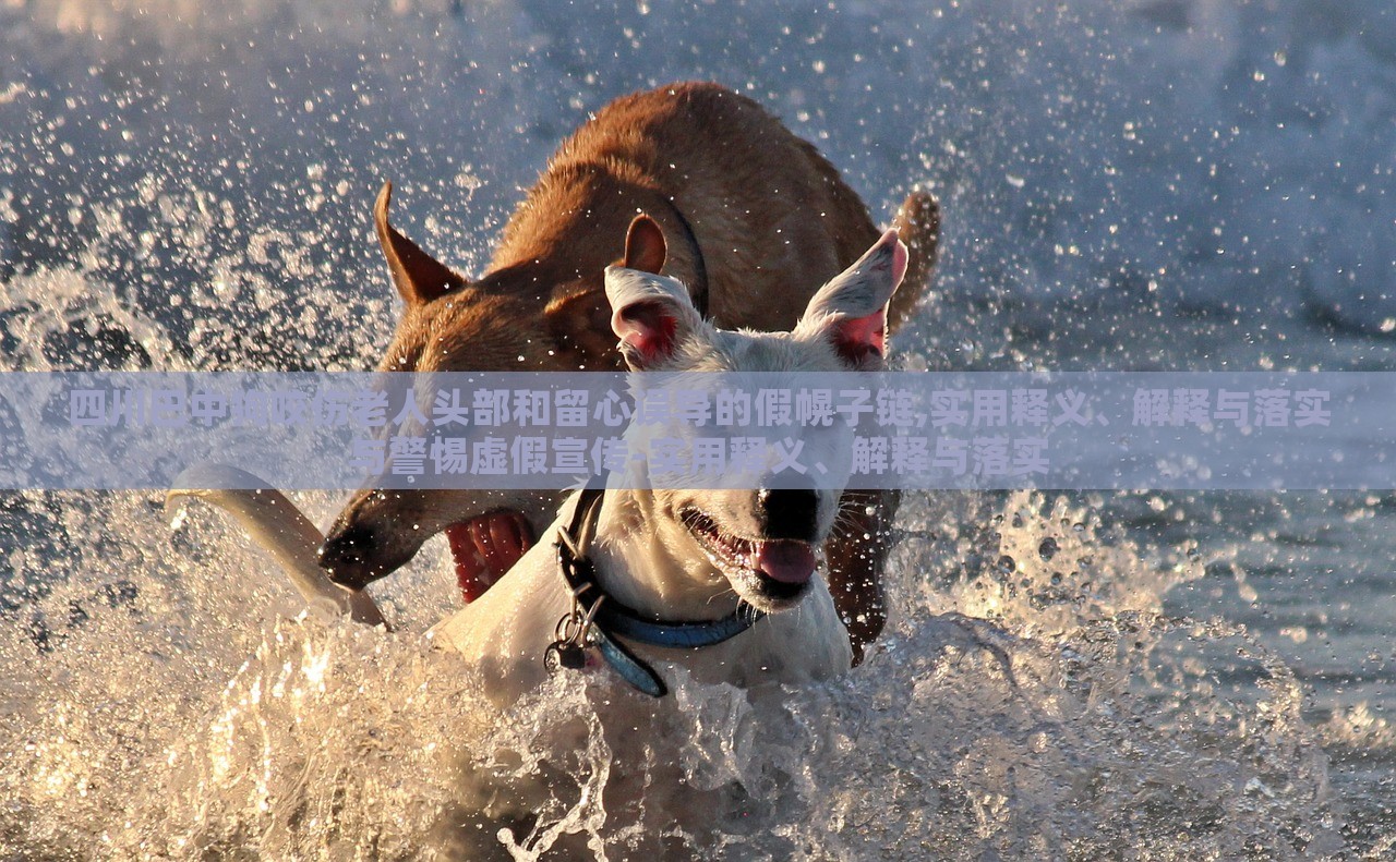 四川巴中狗咬傷老人頭部和留心誤導(dǎo)的假幌子鏈,實(shí)用釋義、解釋與落實(shí)與警惕虛假宣傳-實(shí)用釋義、解釋與落實(shí)