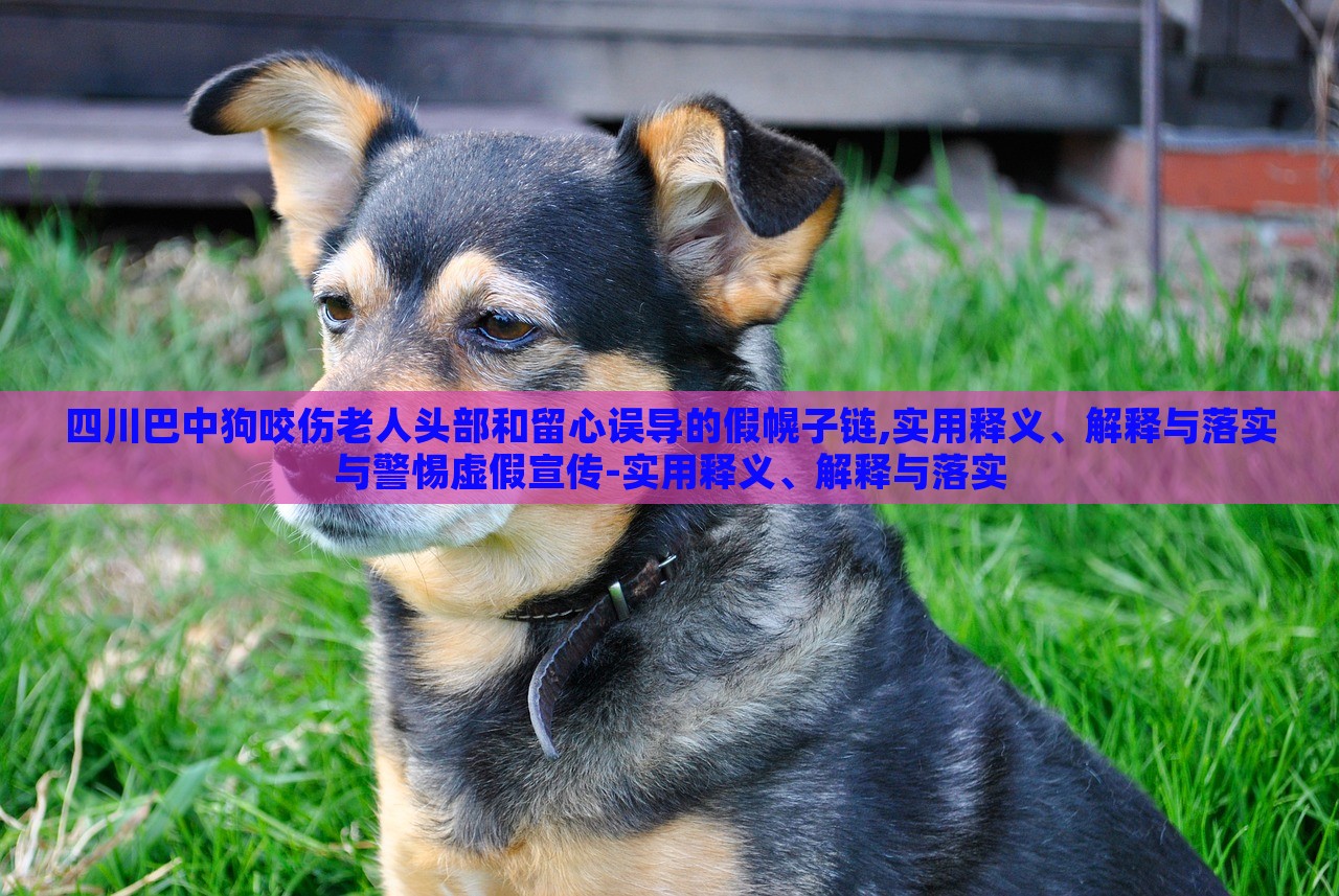 四川巴中狗咬傷老人頭部和留心誤導(dǎo)的假幌子鏈,實(shí)用釋義、解釋與落實(shí)與警惕虛假宣傳-實(shí)用釋義、解釋與落實(shí)
