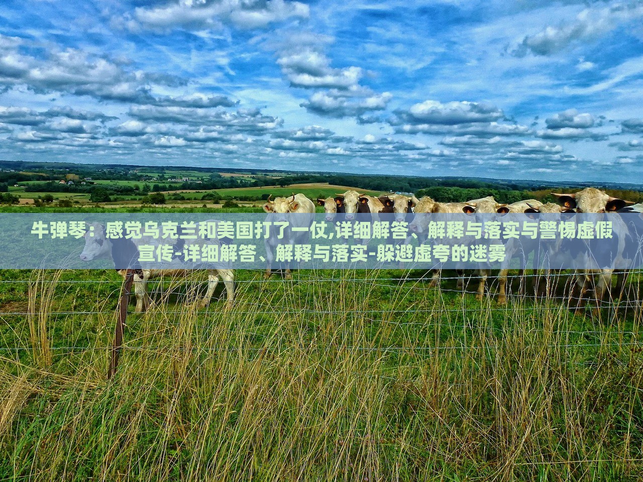 牛彈琴：感覺烏克蘭和美國打了一仗,詳細(xì)解答、解釋與落實(shí)與警惕虛假宣傳-詳細(xì)解答、解釋與落實(shí)-躲避虛夸的迷霧