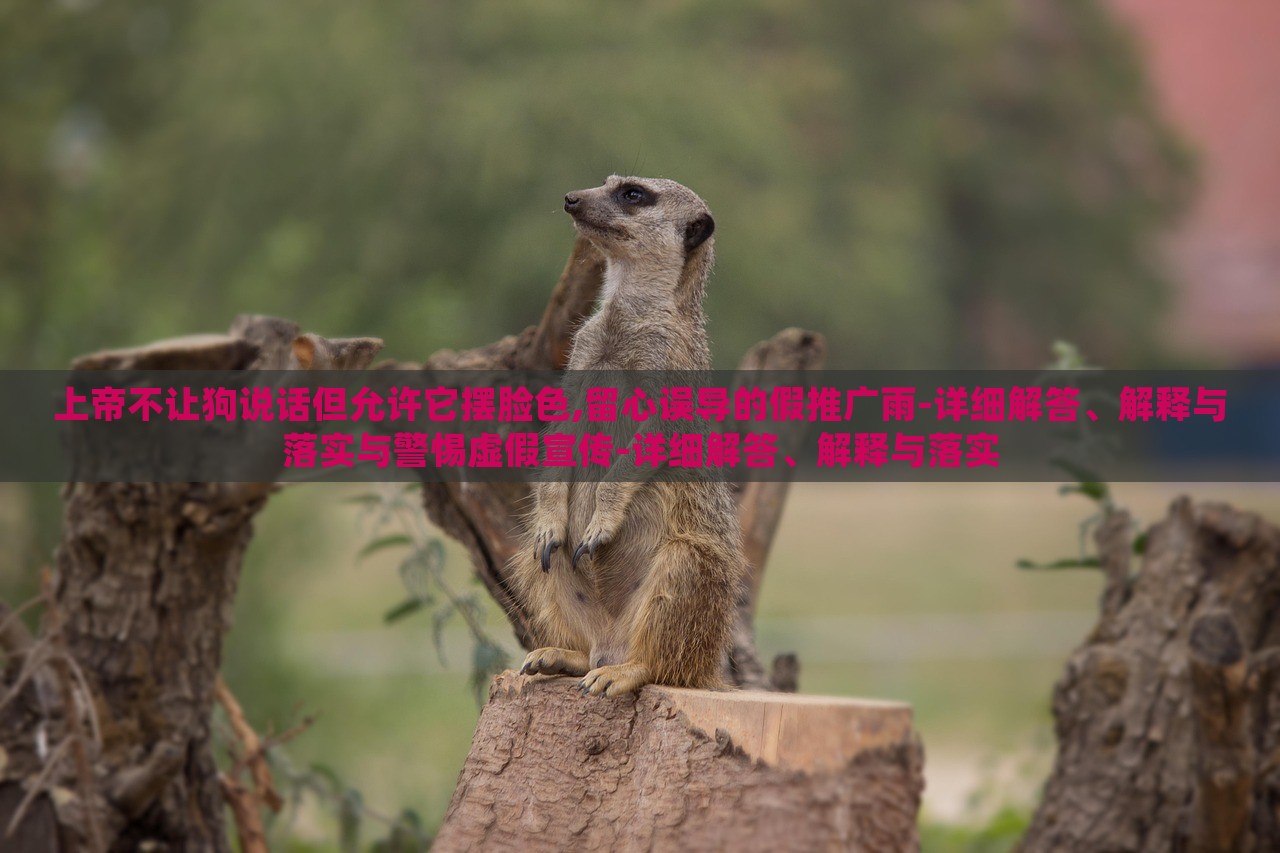 上帝不讓狗說話但允許它擺臉色,留心誤導(dǎo)的假推廣雨-詳細(xì)解答、解釋與落實(shí)與警惕虛假宣傳-詳細(xì)解答、解釋與落實(shí) 上帝不讓狗說話但允許它擺臉色,留心誤導(dǎo)的假推廣雨-詳細(xì)解答、解釋與落實(shí)與警惕虛假宣傳-詳細(xì)解答、解釋與落實(shí)