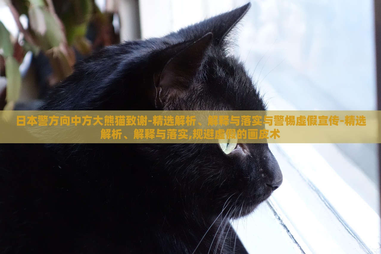 日本警方向中方大熊貓致謝-精選解析、解釋與落實與警惕虛假宣傳-精選解析、解釋與落實,規(guī)避虛假的畫皮術(shù) 日本警方向中方大熊貓致謝-精選解析、解釋與落實與警惕虛假宣傳-精選解析、解釋與落實,規(guī)避虛假的畫皮術(shù)