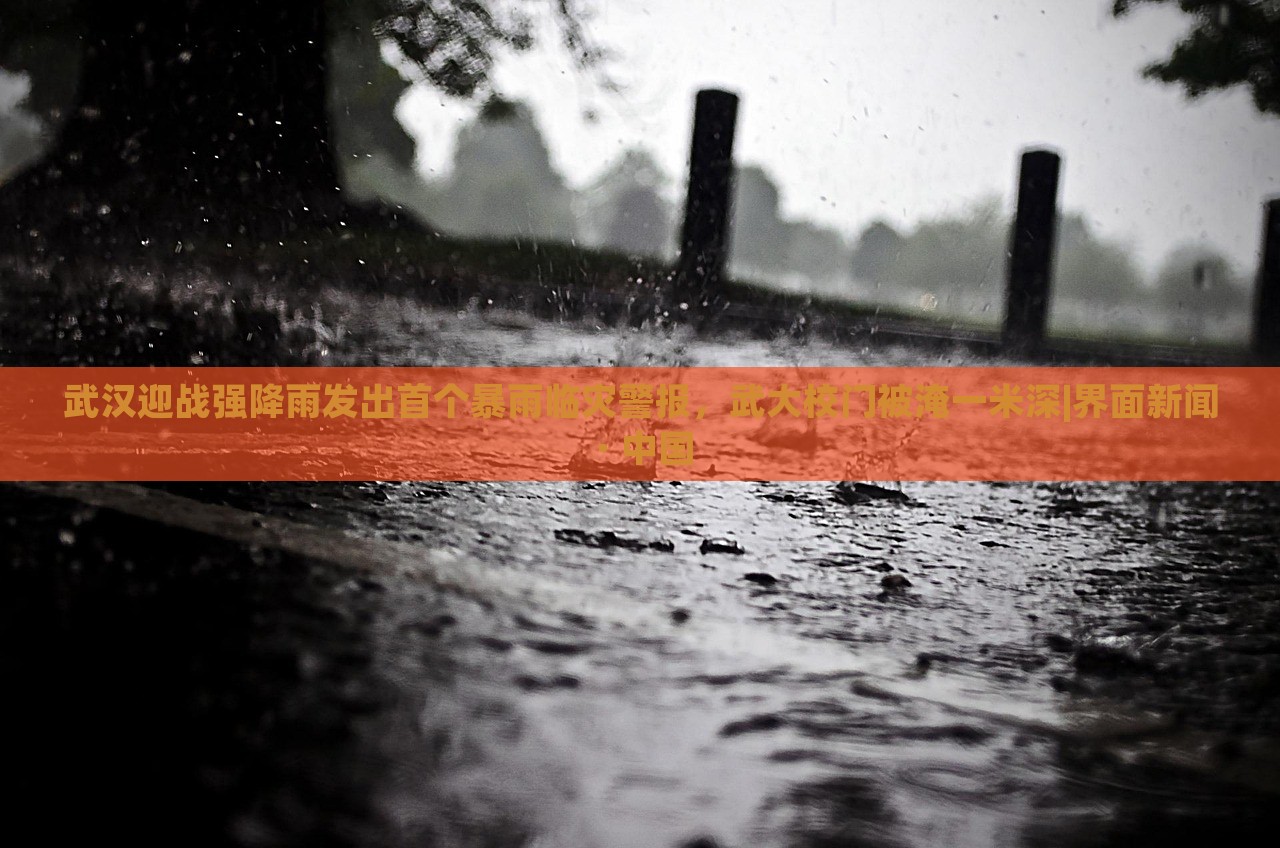 武漢迎戰(zhàn)強(qiáng)降雨發(fā)出首個(gè)暴雨臨災(zāi)警報(bào)，武大校門被淹一米深|界面新聞 · 中國