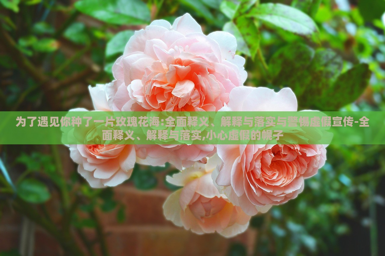 為了遇見(jiàn)你種了一片玫瑰花海:全面釋義、解釋與落實(shí)與警惕虛假宣傳-全面釋義、解釋與落實(shí),小心虛假的幌子 為了遇見(jiàn)你種了一片玫瑰花海:全面釋義、解釋與落實(shí)與警惕虛假宣傳-全面釋義、解釋與落實(shí),小心虛假的幌子
