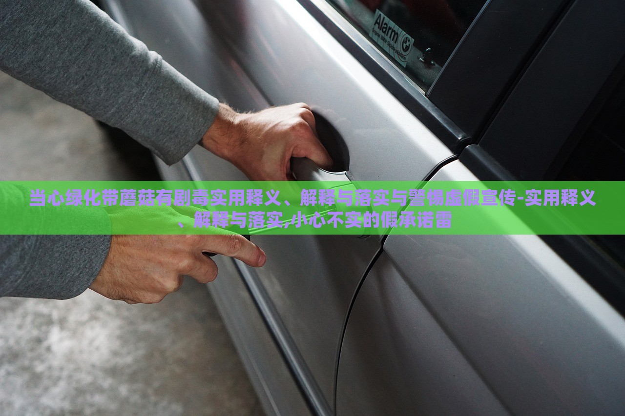 當(dāng)心綠化帶蘑菇有劇毒實(shí)用釋義、解釋與落實(shí)與警惕虛假宣傳-實(shí)用釋義、解釋與落實(shí),小心不實(shí)的假承諾雷