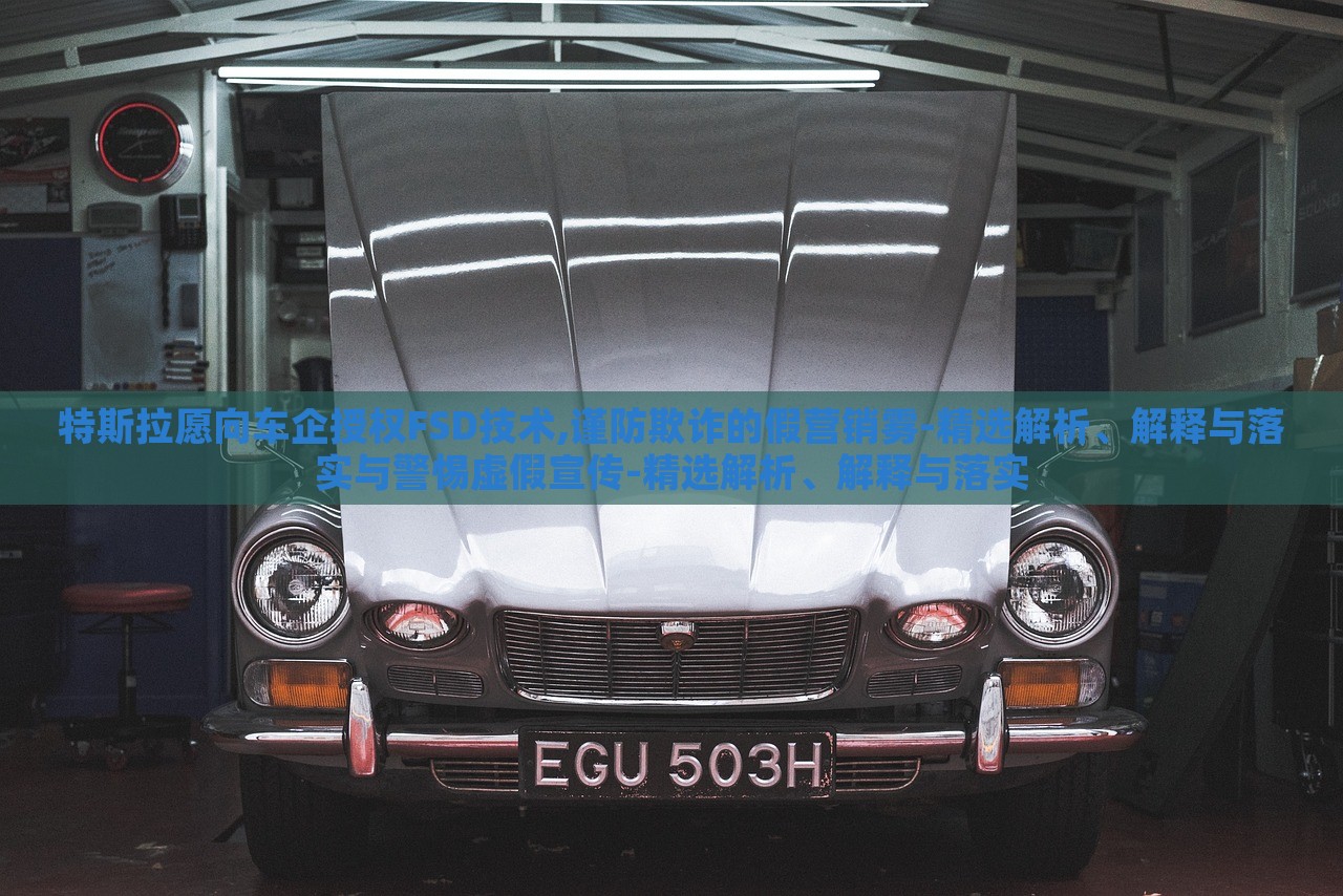 特斯拉愿向車企授權(quán)FSD技術(shù),謹(jǐn)防欺詐的假營銷霧-精選解析、解釋與落實與警惕虛假宣傳-精選解析、解釋與落實