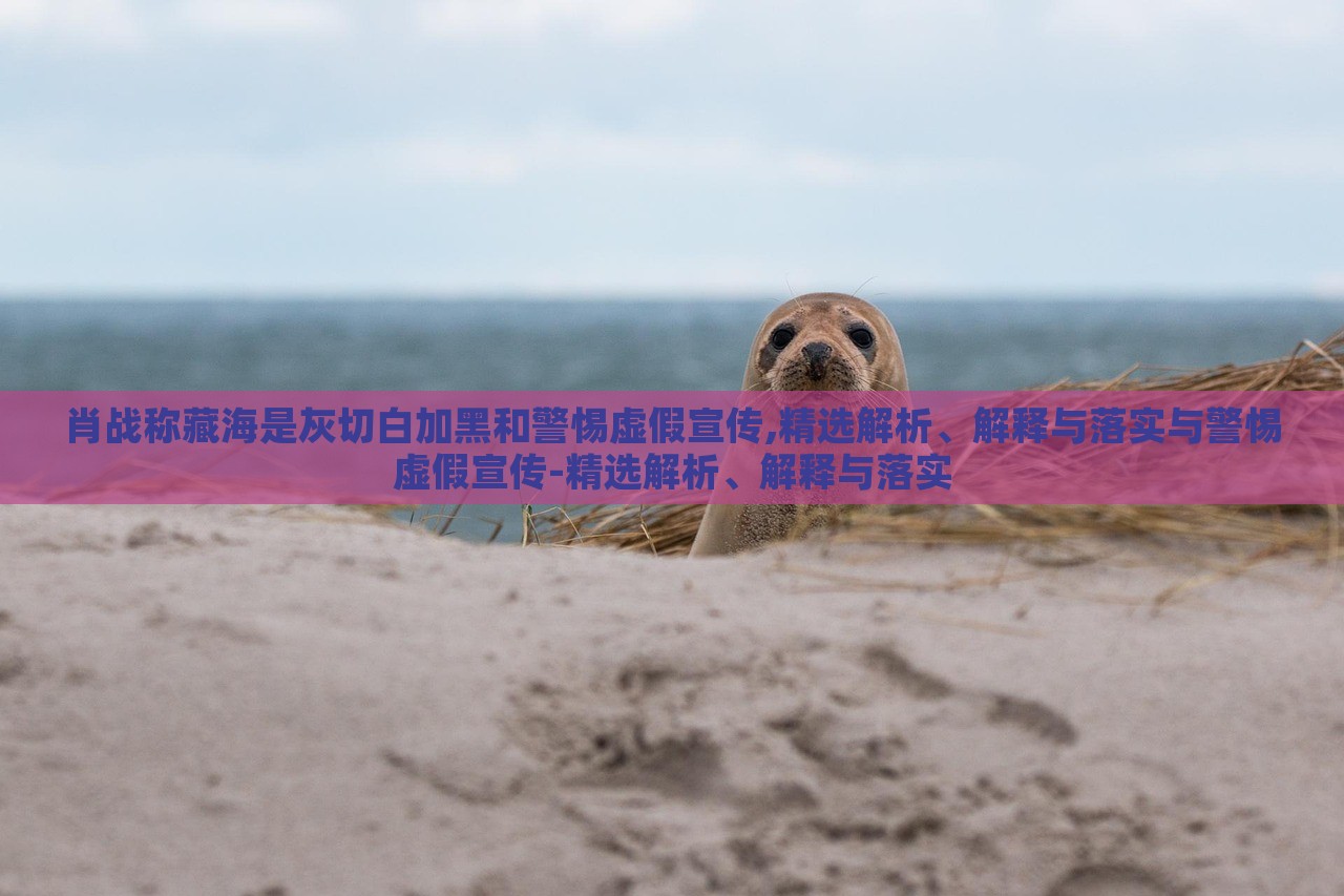 肖戰(zhàn)稱(chēng)藏海是灰切白加黑和警惕虛假宣傳,精選解析、解釋與落實(shí)與警惕虛假宣傳-精選解析、解釋與落實(shí)