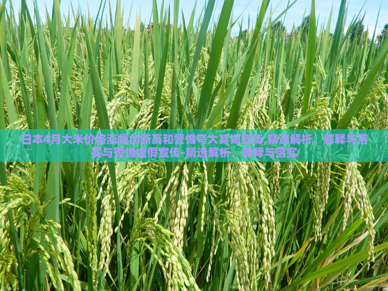 日本4月大米價(jià)格漲幅創(chuàng)新高和警惕夸大其詞宣傳,精選解析、解釋與落實(shí)與警惕虛假宣傳-精選解析、解釋與落實(shí)