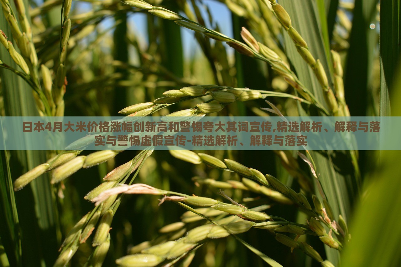 日本4月大米價(jià)格漲幅創(chuàng)新高和警惕夸大其詞宣傳,精選解析、解釋與落實(shí)與警惕虛假宣傳-精選解析、解釋與落實(shí)