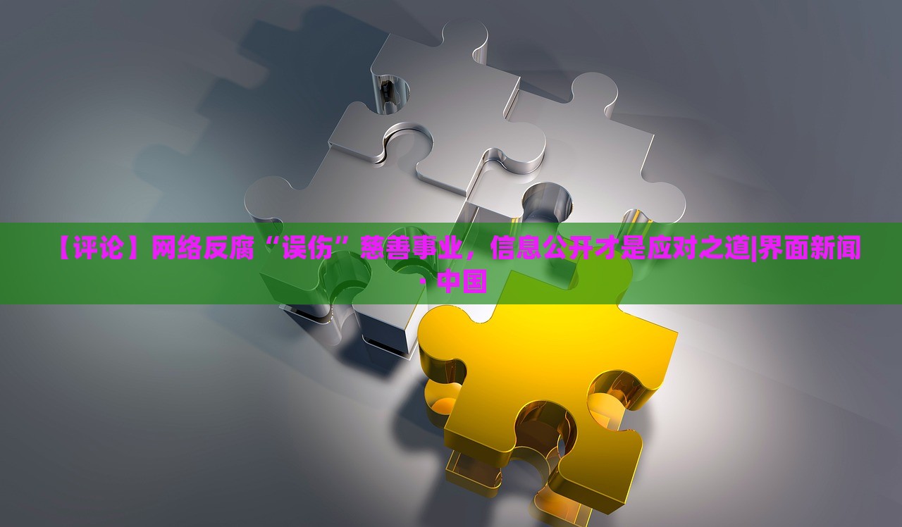 【評論】網(wǎng)絡(luò)反腐“誤傷”慈善事業(yè)，信息公開才是應(yīng)對之道|界面新聞 · 中國