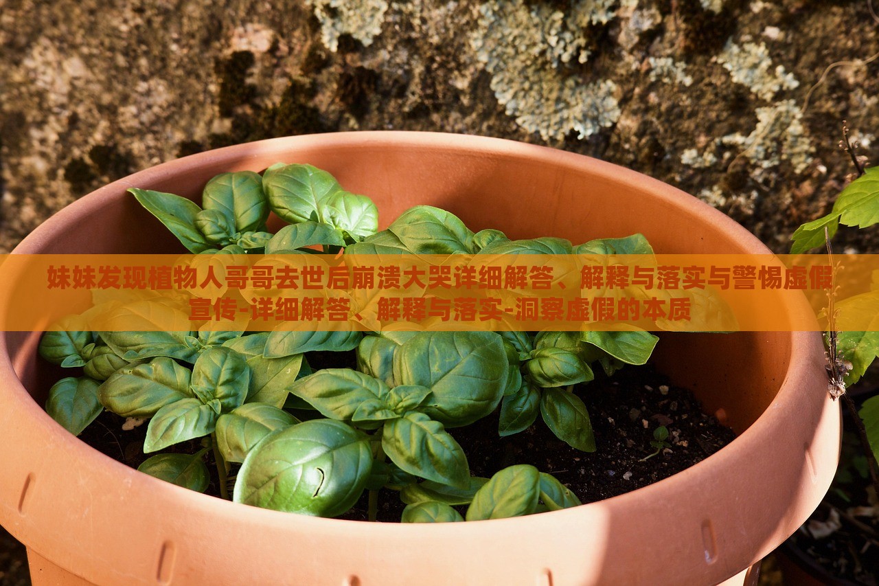 妹妹發(fā)現(xiàn)植物人哥哥去世后崩潰大哭詳細(xì)解答、解釋與落實(shí)與警惕虛假宣傳-詳細(xì)解答、解釋與落實(shí)-洞察虛假的本質(zhì)