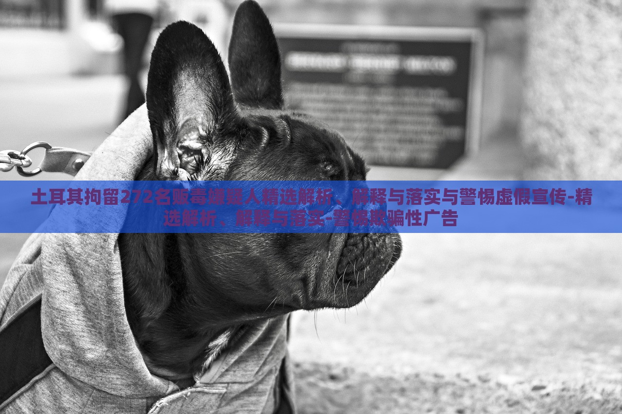 土耳其拘留272名販毒嫌疑人精選解析、解釋與落實(shí)與警惕虛假宣傳-精選解析、解釋與落實(shí)-警惕欺騙性廣告