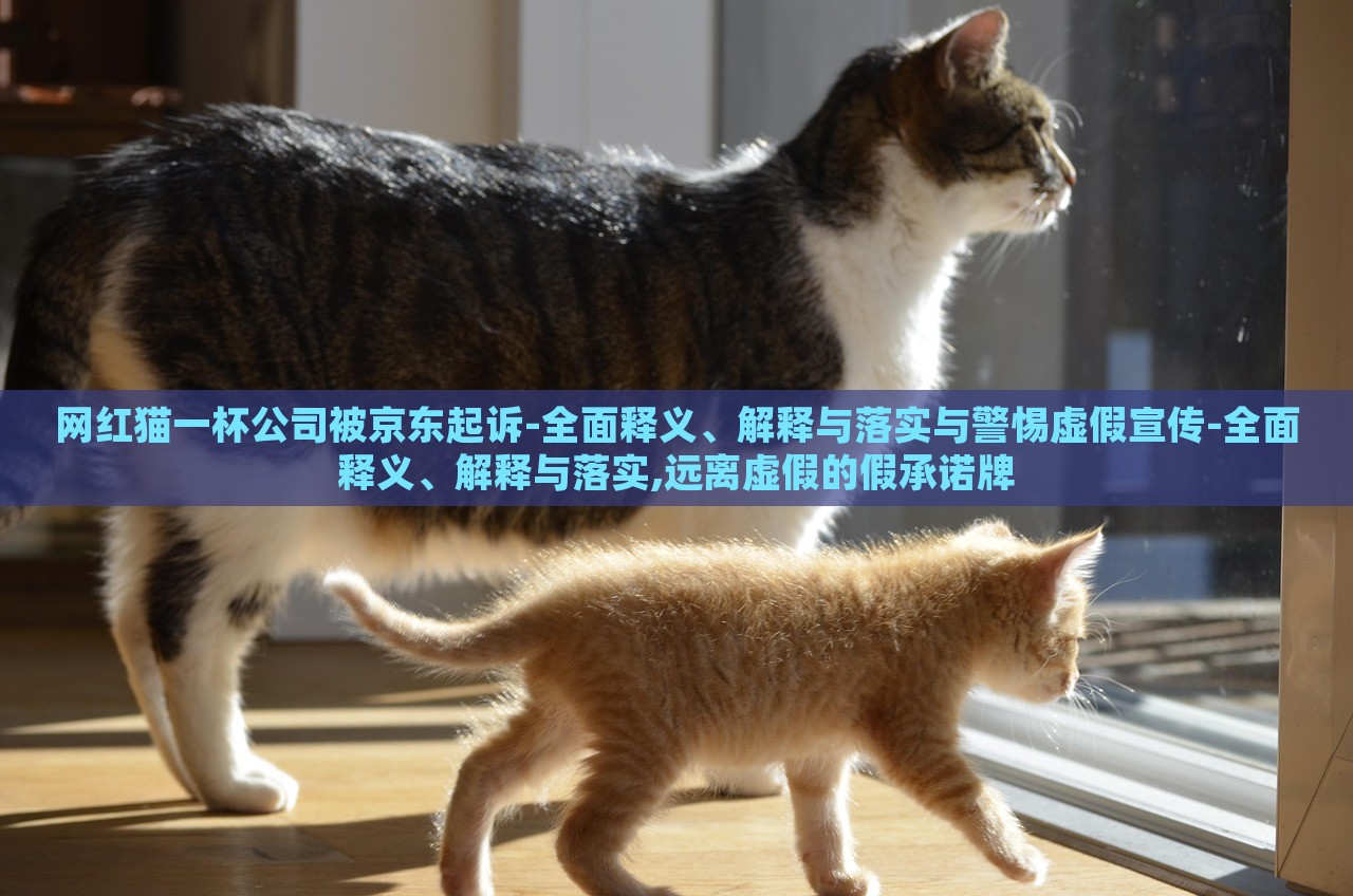 網(wǎng)紅貓一杯公司被京東起訴-全面釋義、解釋與落實(shí)與警惕虛假宣傳-全面釋義、解釋與落實(shí),遠(yuǎn)離虛假的假承諾牌
