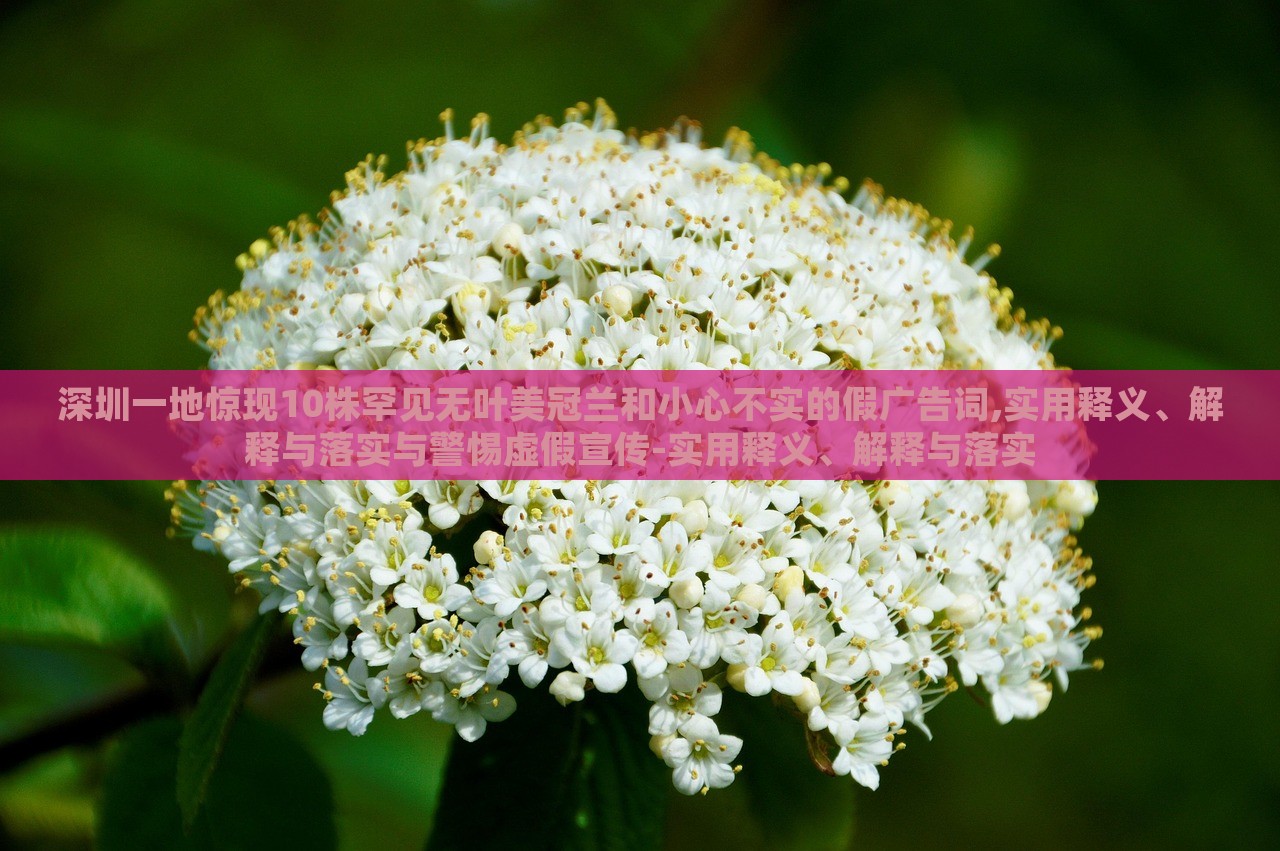 深圳一地驚現(xiàn)10株罕見無葉美冠蘭和小心不實的假廣告詞,實用釋義、解釋與落實與警惕虛假宣傳-實用釋義、解釋與落實 深圳一地驚現(xiàn)10株罕見無葉美冠蘭和小心不實的假廣告詞,實用釋義、解釋與落實與警惕虛假宣傳-實用釋義、解釋與落實