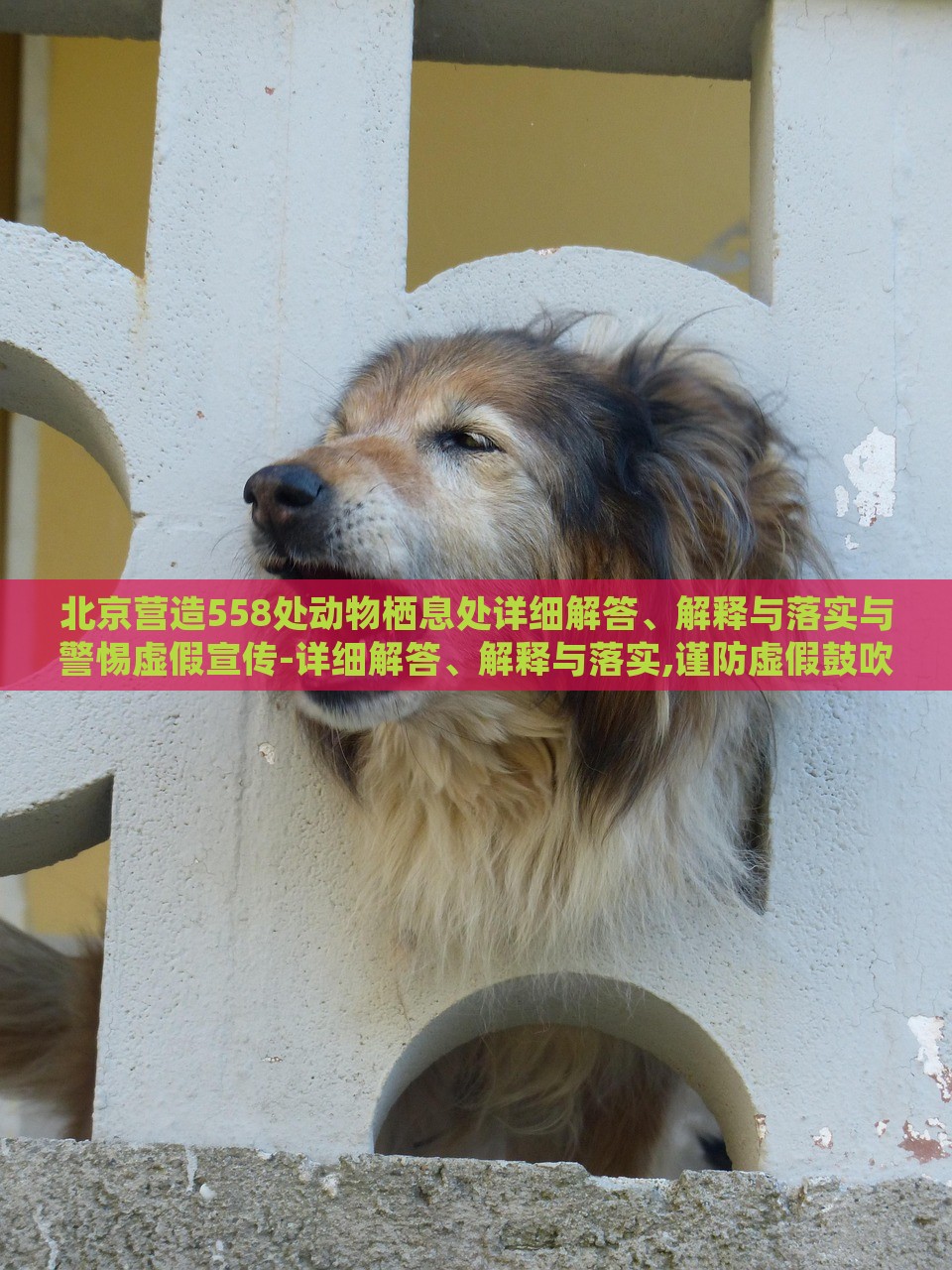 北京營(yíng)造558處動(dòng)物棲息處詳細(xì)解答、解釋與落實(shí)與警惕虛假宣傳-詳細(xì)解答、解釋與落實(shí),謹(jǐn)防虛假鼓吹危害
